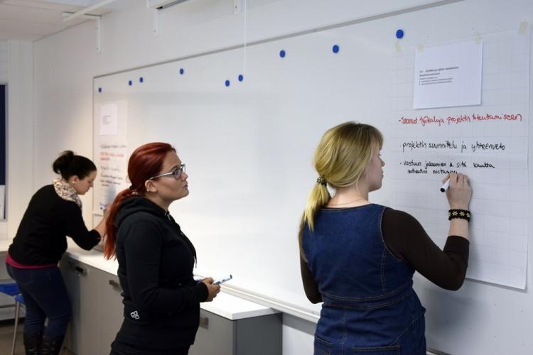 liiketalouden perustutkinto, merkonomi, koulutus, aikuiskoulutus